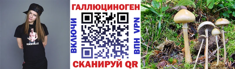 купить  цена  кракен как зайти  Галлюциногенные грибы Psilocybe  Петровск-Забайкальский 